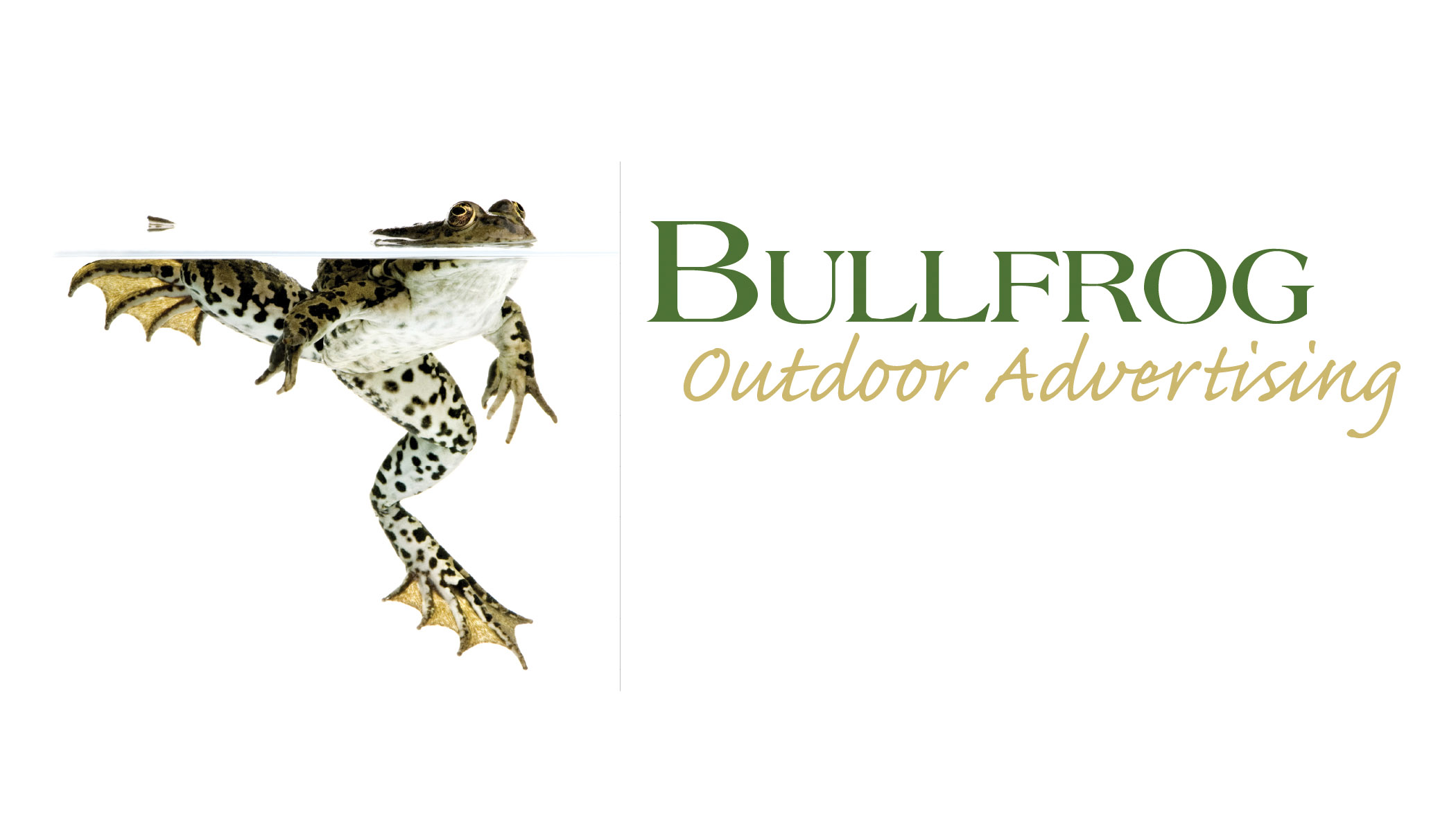 bullfrog logo 1 4
